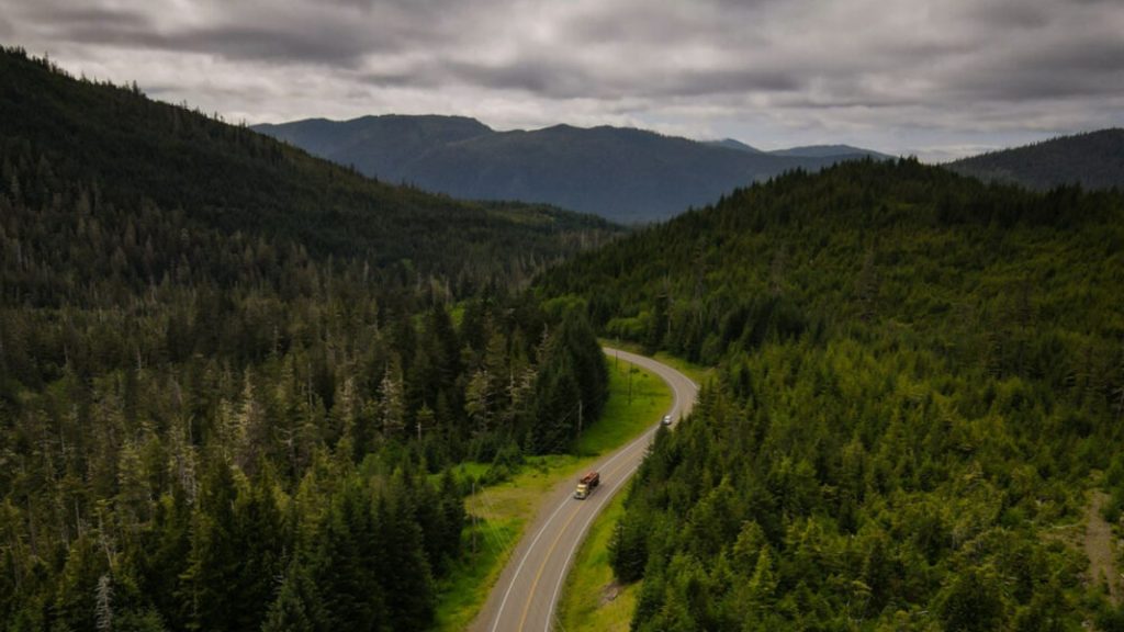 Ariel view of a highway through dense forest (© Georges/The Washington Post/Getty Images)